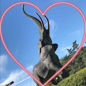 Meet your Posher, Meredith